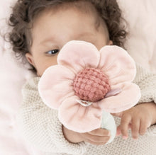 Afbeelding in Gallery-weergave laden, Little-dutch-rammelaar-bloem-fairy-garden