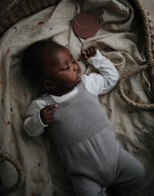 Laden Sie das Bild in den Galerie-Viewer, Mushie hydrofiele doek XL swaddle - Dino - Ikenmijnmama