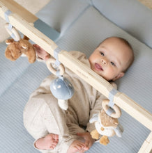 Afbeelding in Gallery-weergave laden, Little-dutch-babygym-forest-friends