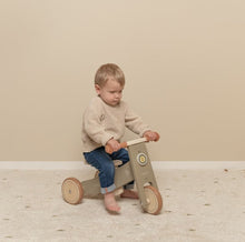 Laden Sie das Bild in den Galerie-Viewer, Little-dutch-driewieler-olive