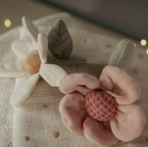 Little-dutch-rammelaar-bloem-fairy-garden